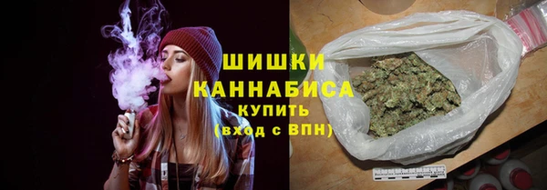 альфа пвп Гусев