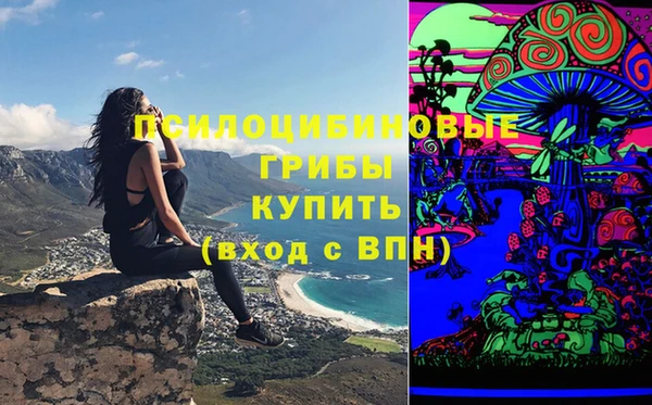 прущая мука Гусь-Хрустальный