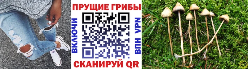 даркнет сайт  Сергач  Псилоцибиновые грибы прущие грибы 